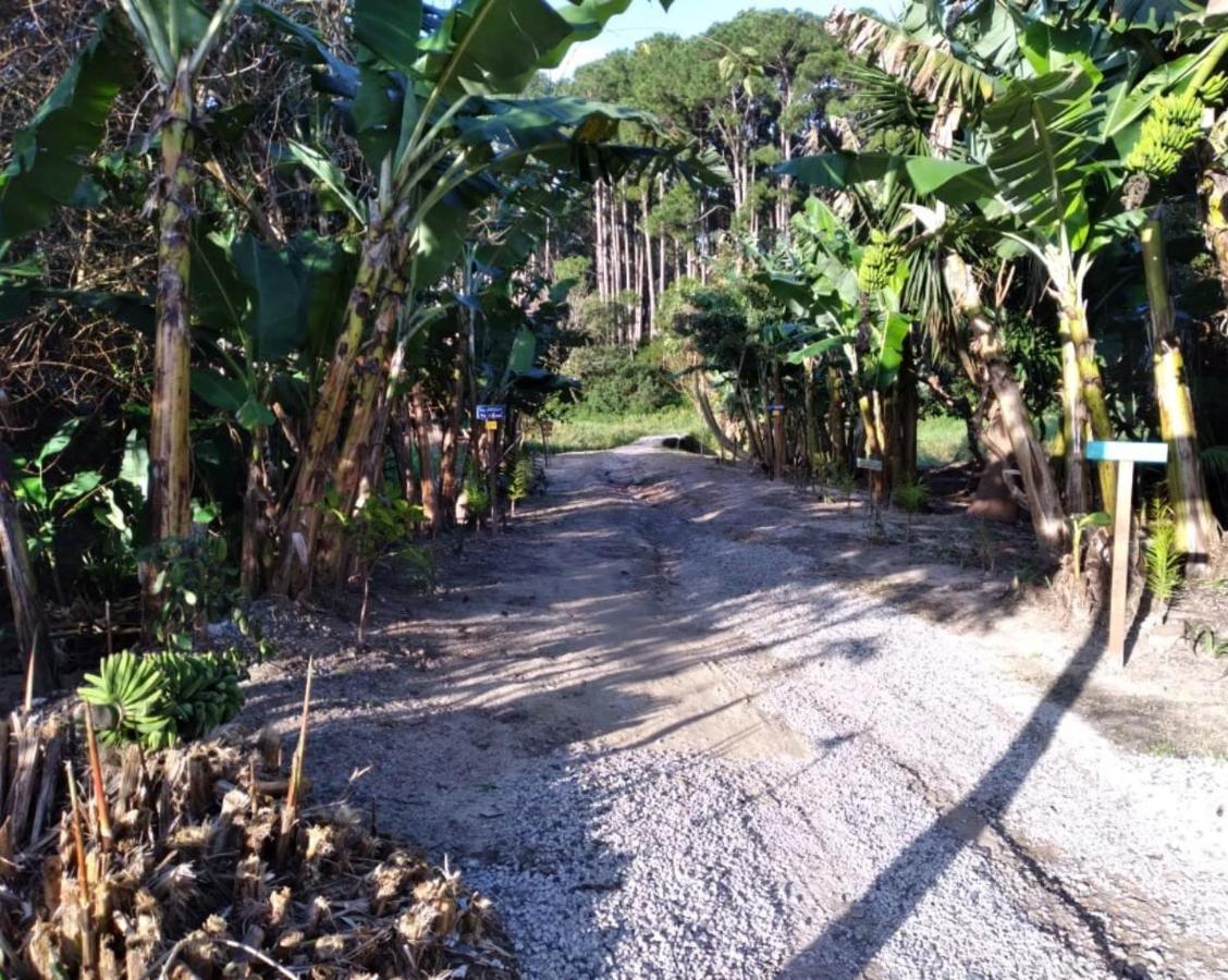 Bangalos Florianópolis Dış mekan fotoğraf